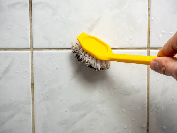 Best Kitchen Mold Remediation in Loch Sheldrake, NY