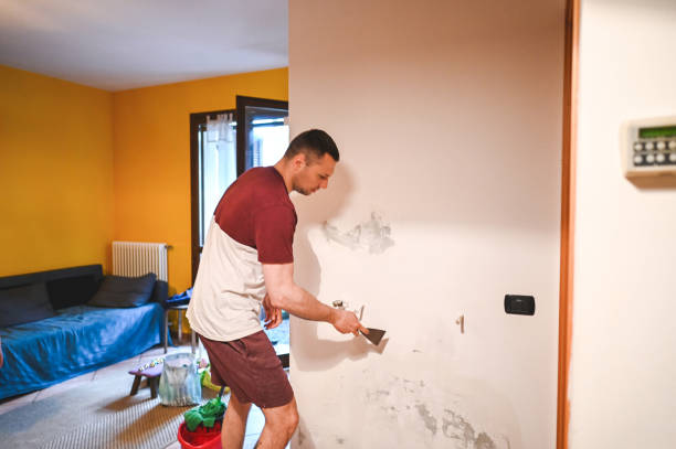 Best DIY Mold Remediation Support Services in Loch Sheldrake, NY